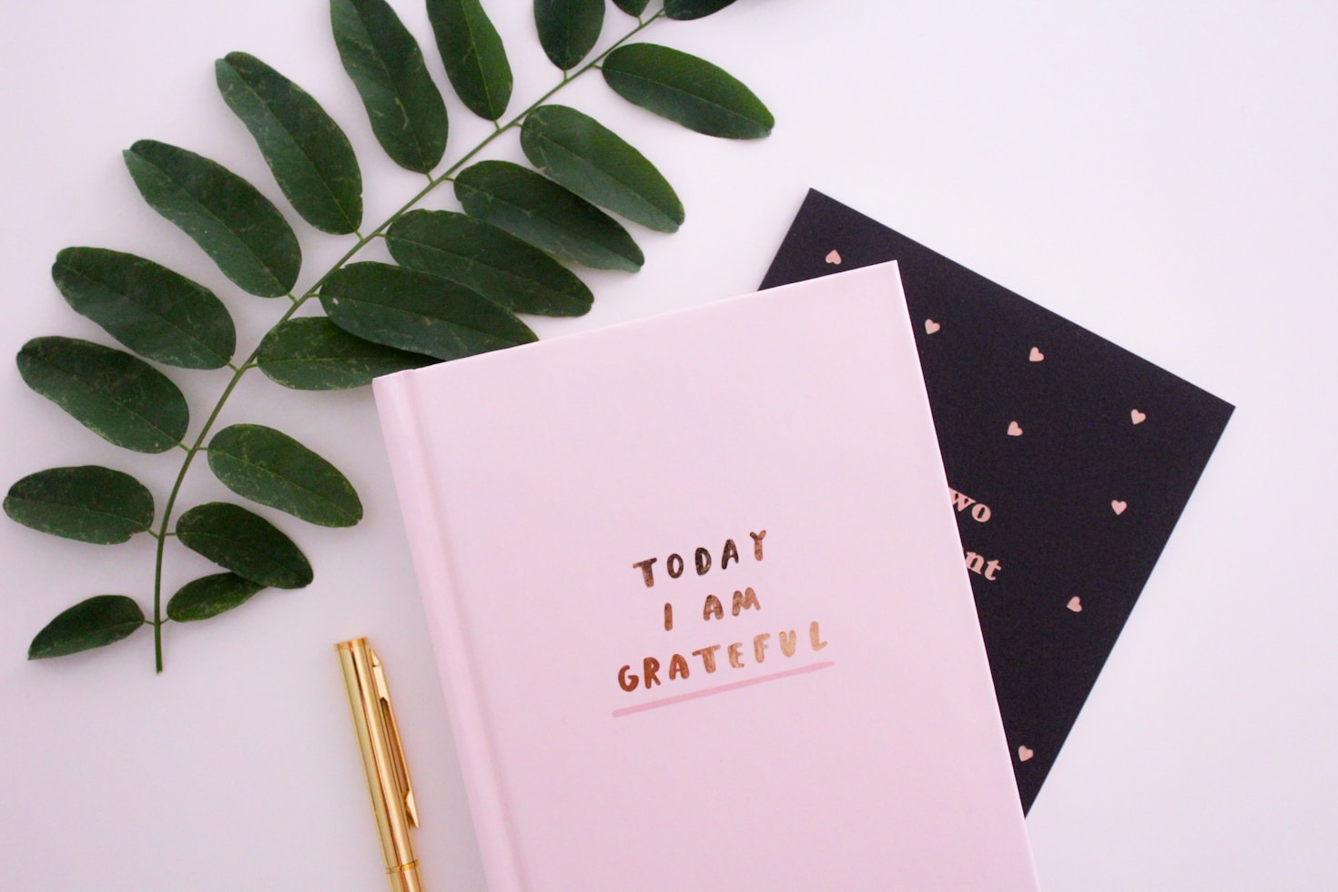 How Small Moments Can Transform Your Day